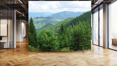 Panorama of Beautiful Mountain forest Wall mural