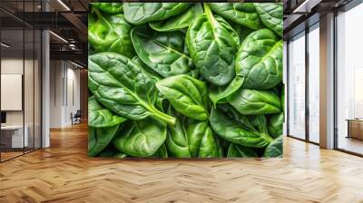 Detailed of fresh spinach leaves grouped together Wall mural