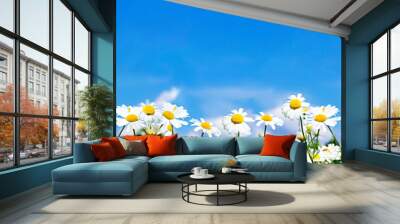 white daisies in the sky Wall mural