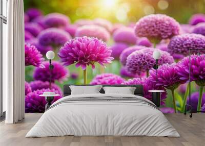 Vibrant bright purple flowers blooming in a garden Wall mural