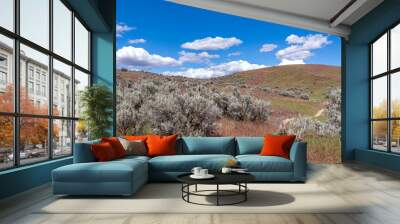 Boise Foothills Panoramic Landscape Wall mural