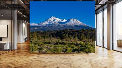 Mt. Shasta Wall mural