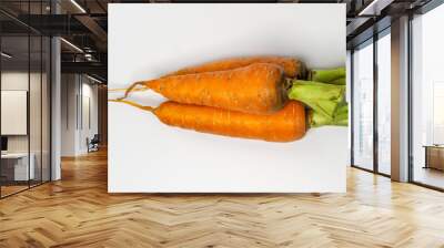 Carrots Wall mural