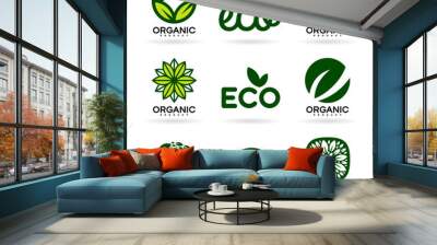 Icons of Organic Products and Ecology. Eco Icons (15) Wall mural