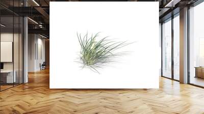 Lyme Grass Wall mural