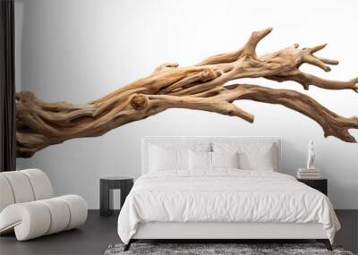 Driftwood isolated on a transparent or white background Wall mural