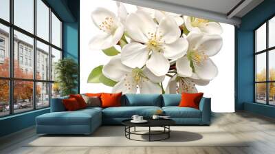 Beautiful And Attractive Ivory Blossom Radiance Isolated On White Background Wall mural