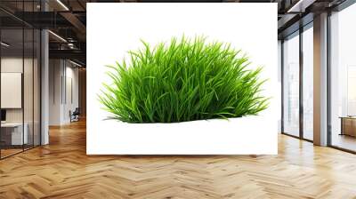 Beautiful Green Grass Isolated On White Background Wall mural