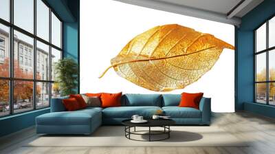 A leaf plant gold on transparent background Wall mural