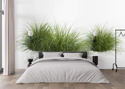 Bunches of grass Wall mural