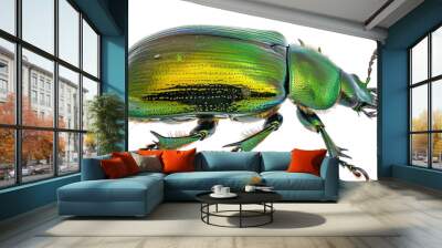 Green june beetle Wall mural