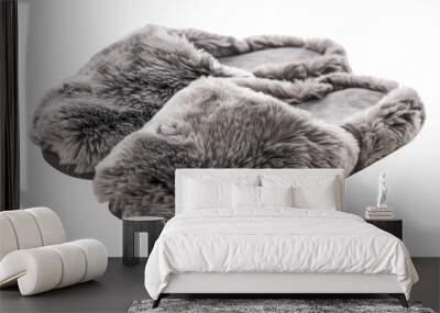 Grey furry indoor slippers on transparent background Wall mural