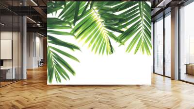 Leaf of a tropical plant Wall mural