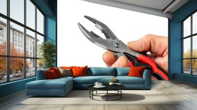 Manual technical instrument in craftsman's hand, pliers, tool quality craftsmanship and technical work  Wall mural