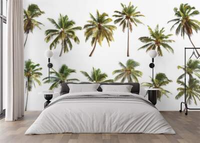 Palm trees, set coconut palm Wall mural