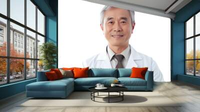 Portrait of a senior Asian male doctor Wall mural