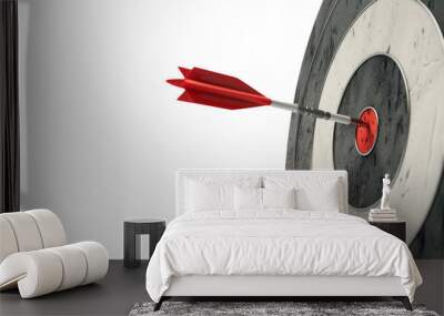 target with red arrow Wall mural