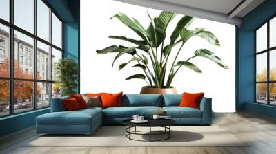 tropical houseplant Wall mural