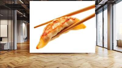 gyoza isolated on white background Wall mural