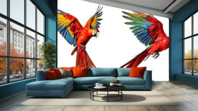 macaw parrot isolated on a transparent background Wall mural