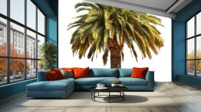 palm tree isolated on white background Wall mural