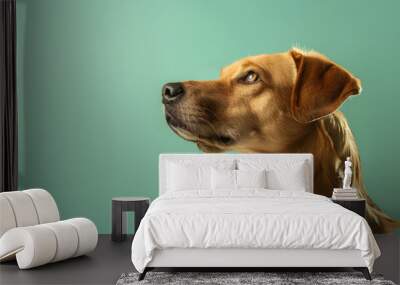 Dog with light green background, copy spacing Wall mural