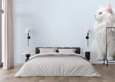 white cat with white background Wall mural