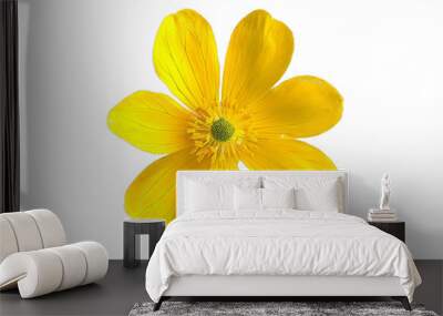 A yellow flower on transparent background Wall mural