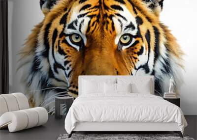 a tiger port rite transparent background Wall mural