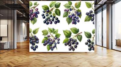 Blackcurrant branch, vintage illustration, isolate transparent background PNG file Wall mural