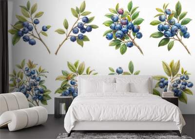 Blueberry branch vintage illustration, isolate transparent background PNG file Wall mural