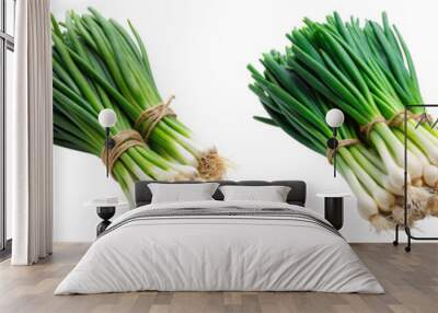 Green onion vegetable on transparent background PNG file Wall mural