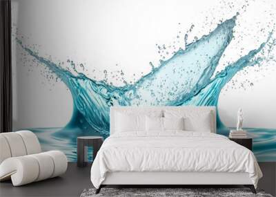 water splash isolated on a white background. Wall mural