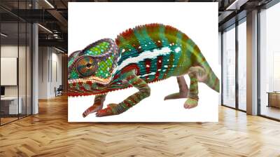 Chameleon reptile isolated on transparent background, PNG Wall mural