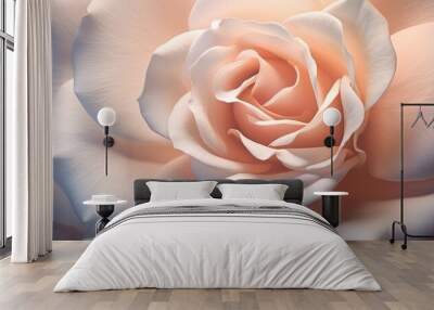 A close-up view of a delicate white rose showcasing intricate details against a dark black background. The soft petals of the rose stand out vibrantly, creating a striking contrast. Wall mural