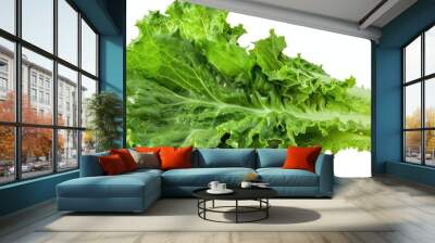 Mature green salad leaf of the lettuce plant Wall mural