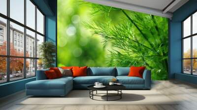 The green leaves of giant fennel Ferula communis Wall mural