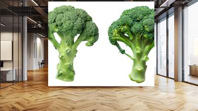 Set of fresh broccoli isolated on white background
 Wall mural