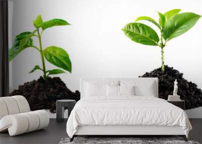 Young green plant and soil PNG Wall mural