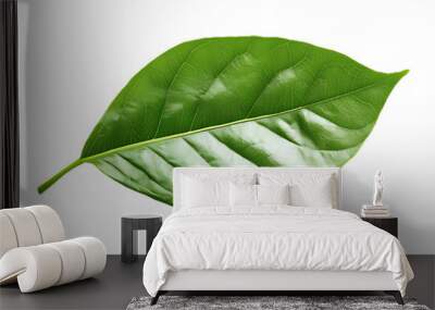 Green leaf isolated on a transparent png Wall mural