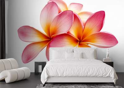 Tropical flowers frangipani (plumeria) isolated on transparent png Wall mural