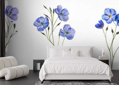 Pressed and dried delicate blue flower flax, isolated on white background Wall mural