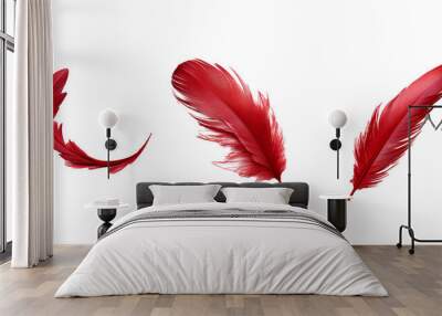 red feather isolated white background Wall mural