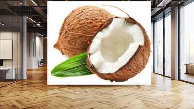 Set of Coconut isolated on a white background Wall mural