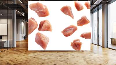 Set of Falling Raw chicken, fillet, isolated on white background, clipping path, full depth of field Wall mural