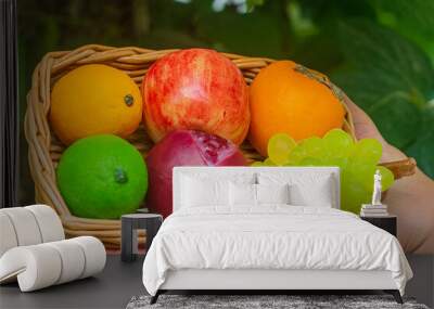 Two female hands holding wicker wooden basket with artificial fruits of persimmon, pomegranate, lime, lemon, apple. bunch of green grapes against background of blurred green garden background closeup Wall mural