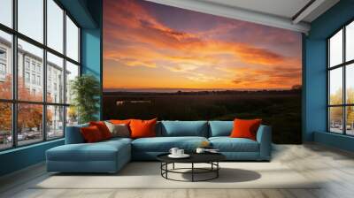 Beautiful sunset over the field Wall mural