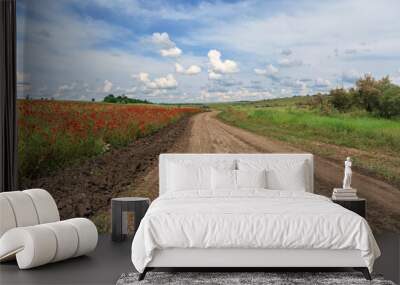 Country road among spring fields with flowers and herbs, under a blue sky with clouds Wall mural