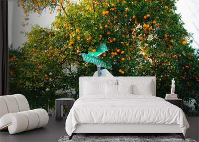 Street Signs with fruit and greenery Wall mural