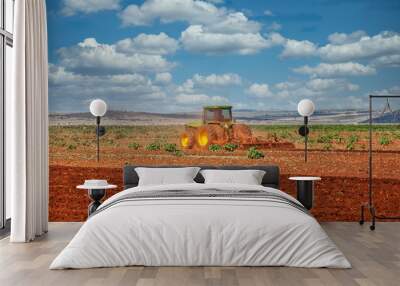 african agriculture Wall mural